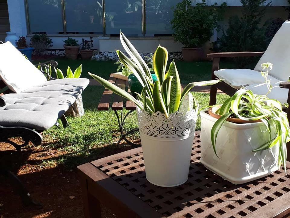 Apartment Villa Holiday II Пула Екстериор снимка